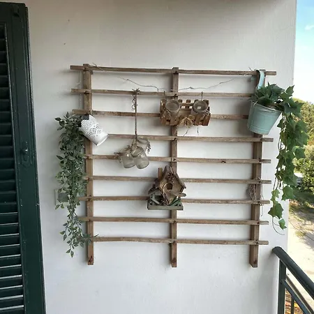 Tra Borghi E Castelli * Borgo a Buggiano