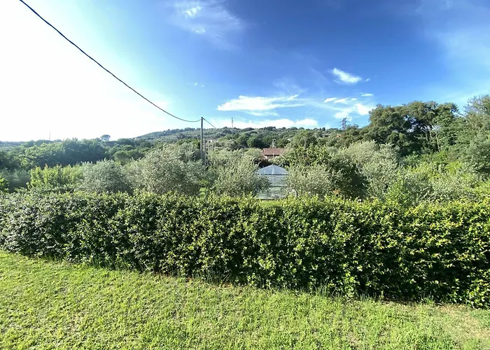 Tra Borghi E Castelli *